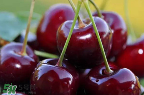 冬天可以吃车厘子吗,这个季节的车厘子可以吃吗