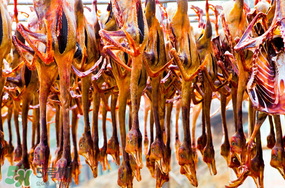 腌制腊鹅的方法,如何腌制腊鹅 腌制腊鹅的方法,如何腌制腊鹅