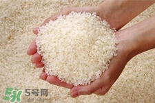 淘米水可以浇花吗?适合哪种花呢?,淘米水可以浇花吗?