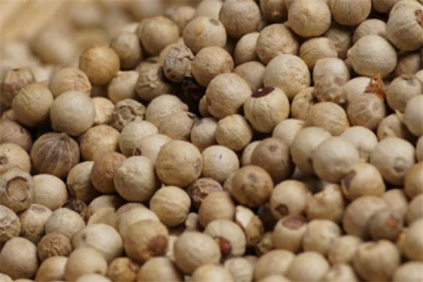 白胡椒是辛辣食物吗,白胡椒粉是辛辣食物吗