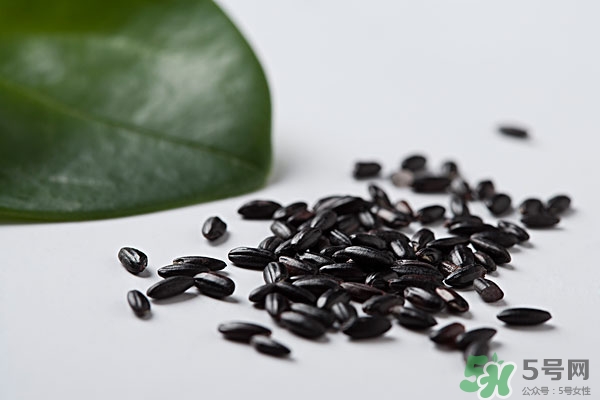 黑米怎么吃补肾效果最好,黑米怎样吃好才能达到补肾
