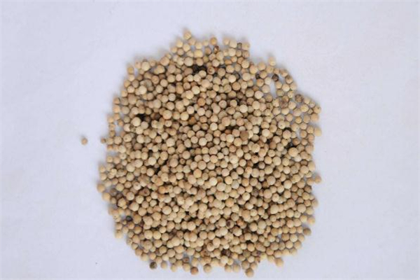 孕妇可以吃白胡椒吗?,孕妇可以吃白胡椒粉吗