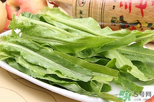 鸡蛋能和油麦菜一起炒着吃吗,鸡蛋能和油麦菜一起炒吗