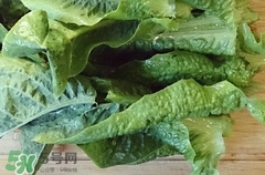 荨麻疹能吃莴笋,枇杷叶煮水可以治疗荨麻疹吗