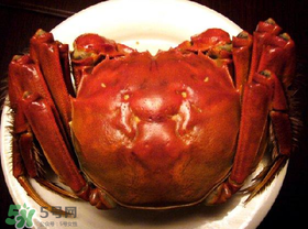 十月底吃公蟹还是母蟹,十月吃公蟹还是母蟹