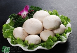 口蘑是什么样子,怎么做了吃,口蘑怎么做好吃还简单