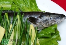 黑鱼汤下奶吗,黑鱼能下奶水吗