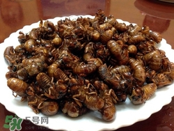 知了怎么做好吃更有营养,知了咋吃好吃