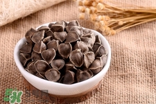 辣木籽,辣木籽的功效和作用是什么?,什么是辣木籽 有何功效