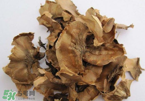 分心木真的能治失眠吗,分心木治失眠是真是假