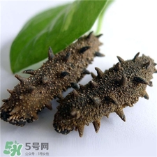 干海参可以用开水泡发吗,干海参是用热水还是冷水泡发