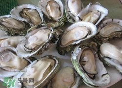 生蚝能泡酒吗,生蚝壳泡酒的功效和作用