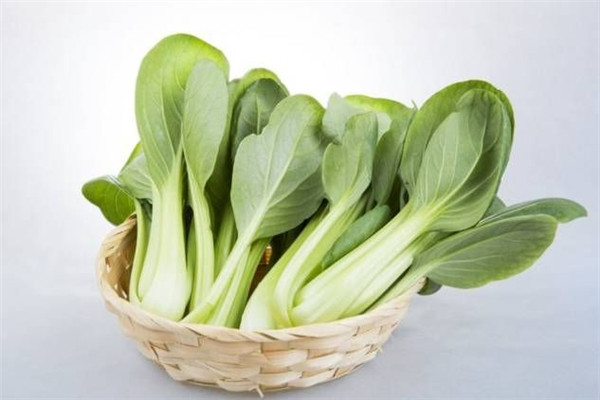 油白菜的营养价值及功效,油白菜的功效和作用及禁忌