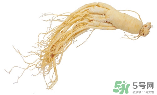 怀孕可以吃野山参吗,备孕可以吃野山参吗