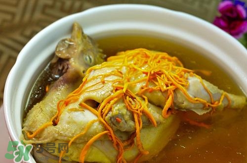 虫草花作用和功功效,虫草花的作用和功效