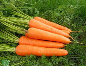 胡萝卜每天吃多少合适呢,胡萝卜每天吃多少为宜 胡萝卜每天吃多少合适呢,胡萝卜每天吃多少为宜