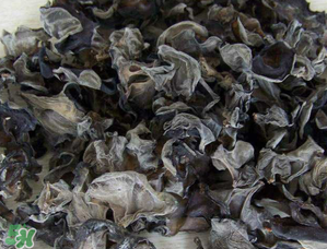 干木耳泡多久可以吃,干木耳泡多久可以吃死人