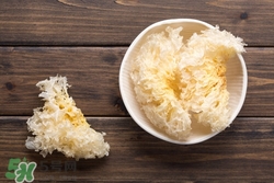 白色银耳好还是黄的好,黄的银耳好还是偏白的银耳好