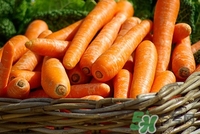 吃什么可以预防乳腺癌,吃啥预防乳腺癌