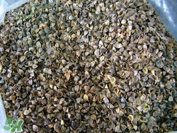 荞麦怎么吃才能降血糖,荞麦怎么做好吃又降血糖 荞麦怎么吃才能降血糖,荞麦怎么做好吃又降血糖