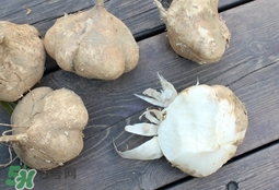 凉薯可以跟鸡蛋一起吃吗,薯类和鸡蛋能一起吃吗 凉薯可以跟鸡蛋一起吃吗,薯类和鸡蛋能一起吃吗