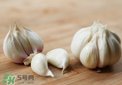 独头蒜的功效和作用,独头蒜有什么药用价值
