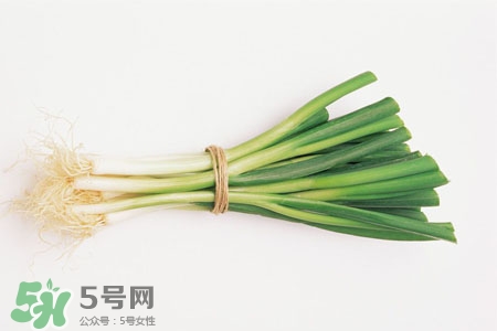 今年大葱会涨价吗,今年过年大葱会降价吗