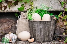 肾病可以吃腊八蒜吗,肾病综合征能吃腊八蒜吗 肾病可以吃腊八蒜吗,肾病综合征能吃腊八蒜吗