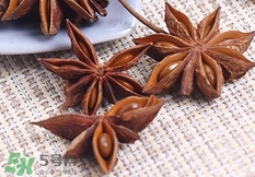 八角怎样保存不发霉,八角如何食用方法