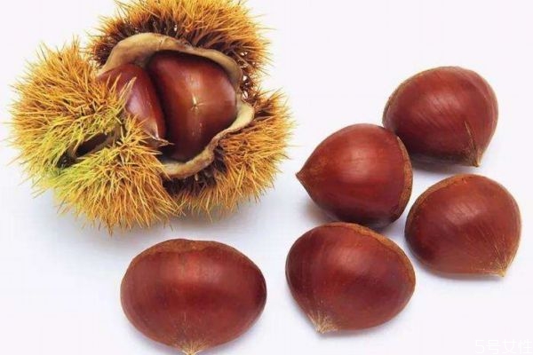 为什么栗子吃多了会放屁,栗子吃多了会放屁