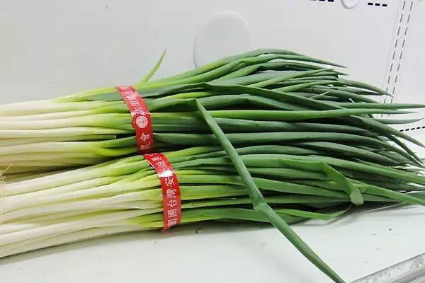 大葱农药残留怎么去除(大葱有农药残留物吗) 大葱农药残留怎么去除(大葱有农药残留物吗)