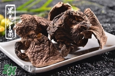 虎掌菌的功效和作用及食用方法,野生虎掌菌有什么作用 虎掌菌的功效和作用及食用方法,野生虎掌菌有什么作用