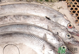 带鱼不能和什么一起吃,带鱼不能和什么一起吃 同吃 食物相克大全 带鱼不能和什么一起吃,带鱼不能和什么一起吃 同吃 食物相克大全