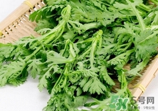 茼蒿吃多了有什么坏处,茼蒿菜吃多了会怎么样