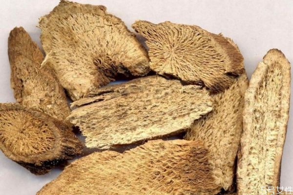 木香主要分布的地区是哪里呢(木香生长在什么地方)