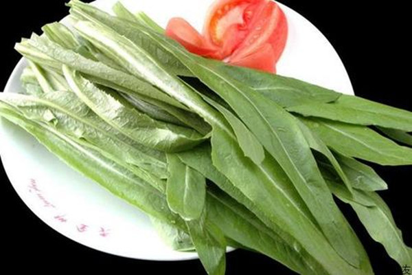 油麦菜吃多了会怎么样,油麦菜吃多了是不是对身体不好