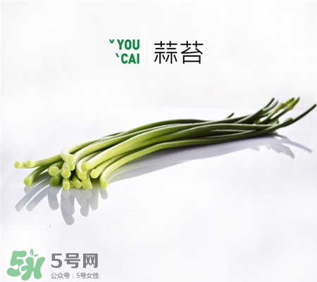 蒜苔的功效和作用 蒜苔的营养成分,蒜苔营养价值和功效和作用