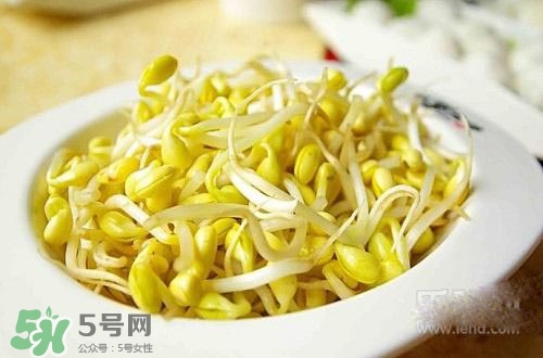 豆芽糖尿病人能吃吗?,糖尿病人豆芽可以吃吗?