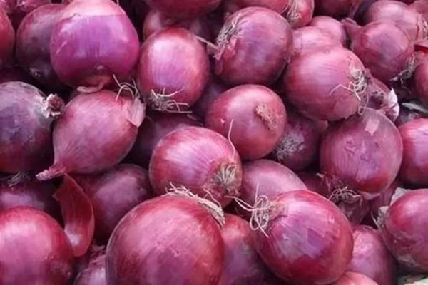洋葱能减肥吗?,洋葱有减肥功效吗 洋葱能减肥吗?,洋葱有减肥功效吗