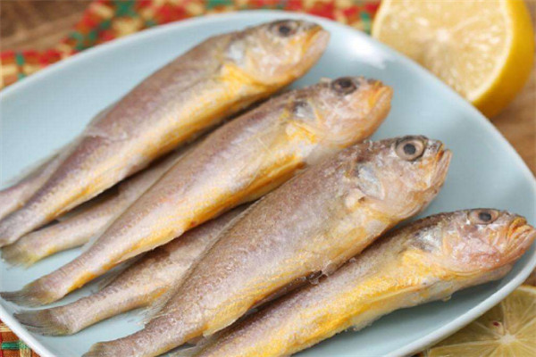 经常吃黄鱼有什么好处,吃黄鱼的好处和坏处 经常吃黄鱼有什么好处,吃黄鱼的好处和坏处