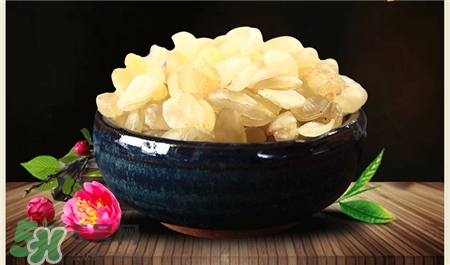 雪莲子的功效和作用及食用方法,雪莲子的功效和作用是什么 雪莲子的功效和作用及食用方法,雪莲子的功效和作用是什么