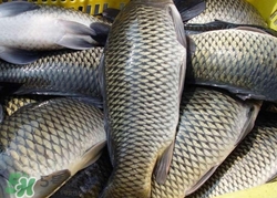 孕妇能吃乌江鱼吗,乌鱼孕妇能吃不