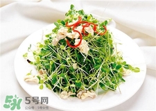 芽苗菜营养价值和功效,芽苗菜的种类和功效