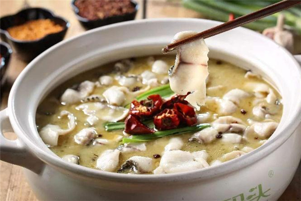 黑鱼可以经常吃吗,为什么黑鱼不能多吃