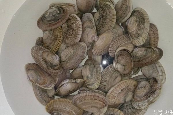 花甲怎么挑选新鲜的,怎么挑花甲比较新鲜