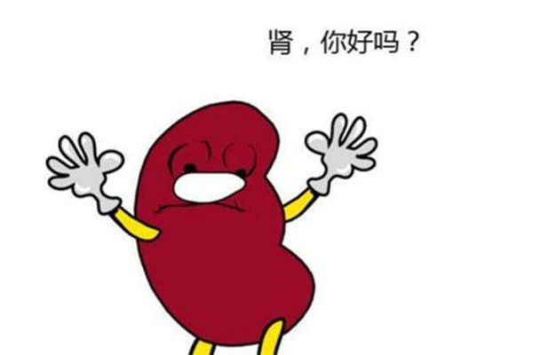 肾脏不好脚会肿吗(肾不好会引起脚肿吗)