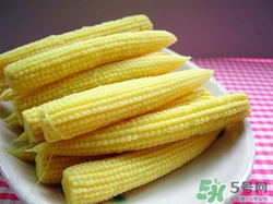 玉米笋的功效和作用,玉米笋营养价值和功效和作用 玉米笋的功效和作用,玉米笋营养价值和功效和作用
