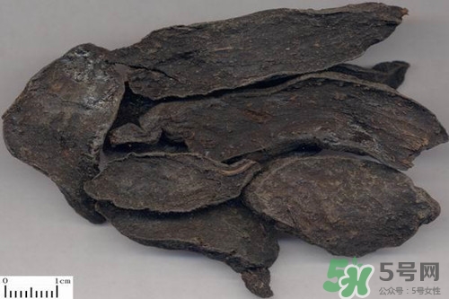 何首乌能生吃吗?,何首乌生吃会不会中毒