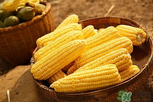 一岁宝宝可以吃高粱米吗,一岁宝宝可以吃高粱米粥吗