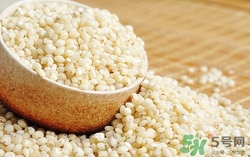 高粱米能煮饭吗,高粱和大米煮饭的方法 高粱米能煮饭吗,高粱和大米煮饭的方法